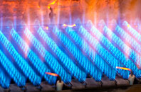 Littleham gas fired boilers